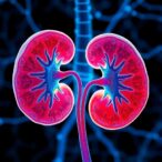 deep-learning-unveils-drug-induced-nephrotoxicity-predictions
