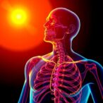 uncovering-molecular-markers-of-severe-heatstroke