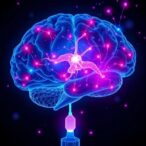 astrocytic-ca2+-protects-synapses-during-motor-learning