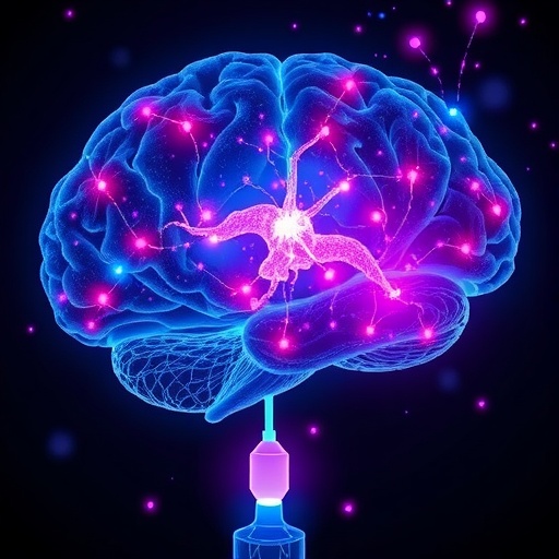 astrocytic-ca2+-protects-synapses-during-motor-learning
