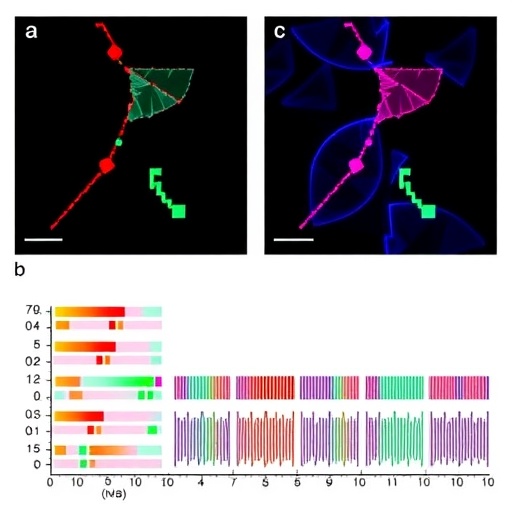 programmable-promoter-editing-enables-precise-transgene-control