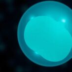 innovative-lab-grown-human-embryo-model-generates-blood-cells