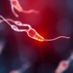 activating-sperm-motility:-a-breakthrough-offering-new-hope-for-male-infertility