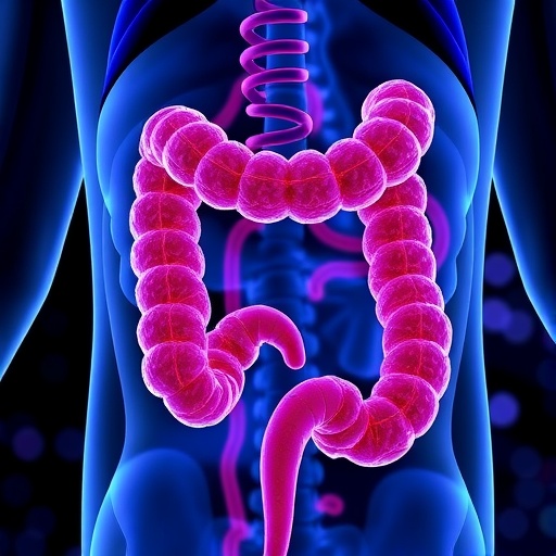 decoding-colorectal-cancer:-genes,-prognosis,-and-immunity