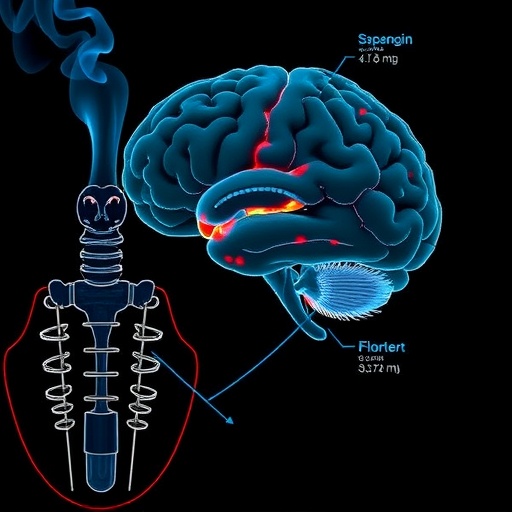stopping-smoking-later-in-life-associated-with-reduced-cognitive-decline,-study-finds