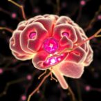 new-brain-cell-discoveries-revolutionize-understanding-of-psychiatric-disorders