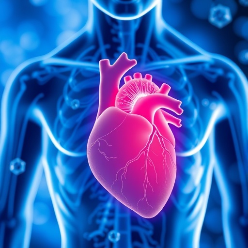 personalized-treatments-for-cardiomyopathies-unveiled
