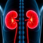 allostatic-load-links-to-kidney-cancer-risk