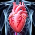 revolutionary-workflow-enhances-congenital-heart-surgery-planning