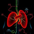 fasting-reduces-liver-cancer-cell-growth-and-alters-proteome