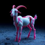 ai-analyzes-goat-carcass-for-tissue-predictions
