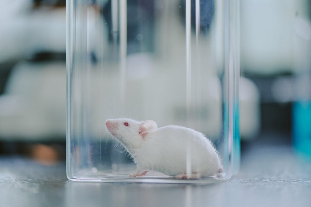 former-fda-leader-to-chair-charles-river-advisory-board-on-animal-testing-alternatives
