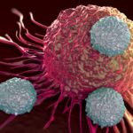 immunotherapy-developer-expands-beyond-myeloid-cells-and-cancer