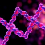 revolutionary-ai-tool-streamlines-enzyme-substrate-matching