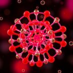 tracking-mrna-lipid-nanoparticles:-particle-to-protein
