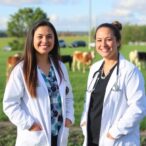 why-early-career-doctors-choose-rural-practice