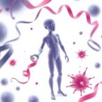 obesity-alters-sperm-plcζ:-mrna-vs.-protein-insights