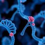 inherited-genetic-mutations-in-cancer-susceptibility-genes-linked-to-disease-risk