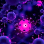 glucocorticoids-boost-success-in-implantation-failure