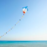 kite-puts-$1.6b-on-the-line-to-pair-up-with-china’s-pregene-for-another-in-vivo-car-t-deal