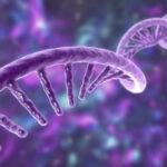 ashg-2025:-functional-impact-of-non-coding-rna-uncovered-in-human-disease