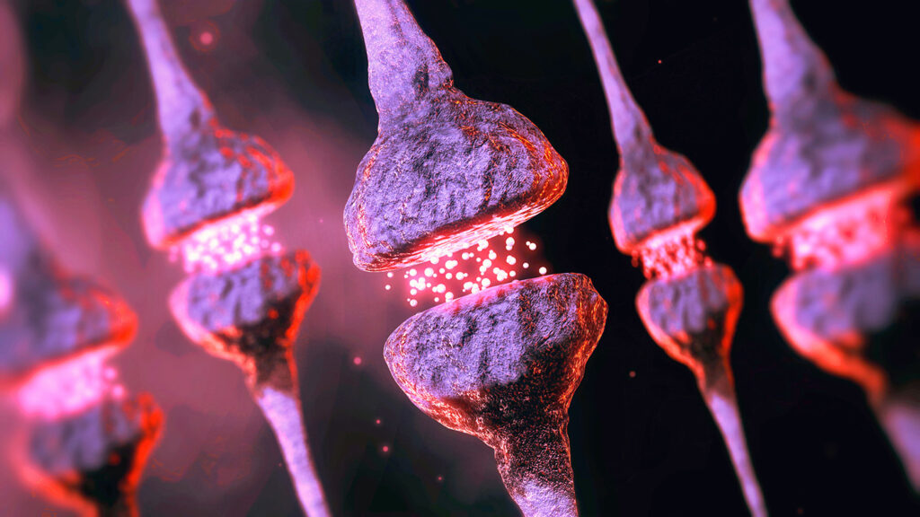 cryo-et-reveals-“kiss-shrink-run”-neurotransmission-mechanism