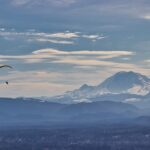 chutes-&-ladders—cabaletta-corrals-cell-therapy-legend-as-commercial-chief