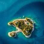new-research-challenges-traditional-views-on-plant-dispersal-to-islands