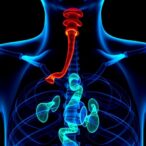 serum-cd80-predicts-esophageal-cancer-therapy-success