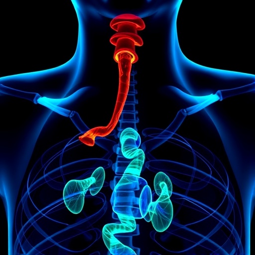 serum-cd80-predicts-esophageal-cancer-therapy-success