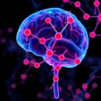 lower-snca-levels-in-parkinson’s-blood-after-neutrophil-adjustment