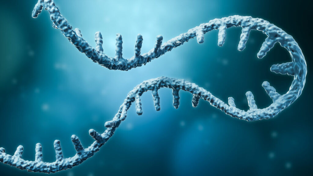 ashg-2025:-torino-identifies-mrna-isoforms-in-disease-related-gene-expression