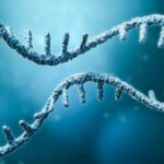 ashg-2025:-torino-identifies-mrna-isoforms-in-disease-related-gene-expression