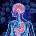 revealing-new-proteins-in-ibd-via-gut-brain-interactions