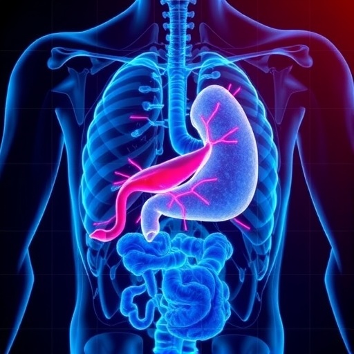 ai-enhanced-multimodal-care-for-pancreatic-cancer