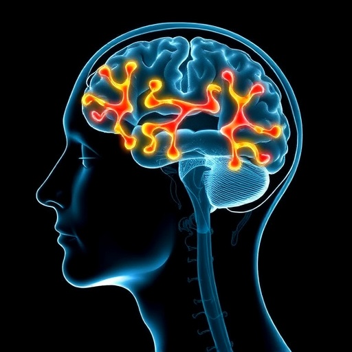 csf-brain-proteins-linked-to-ventricular-volume-in-seniors