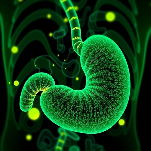 il33-st2-predicts-anti-pd1-success-in-gastric-cancer