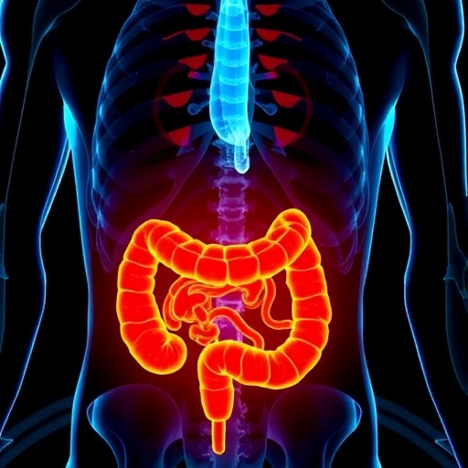 nicotinamide-riboside-reduces-radiation-induced-intestinal-injury