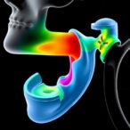 creating-an-acoustic-model-for-upper-airway