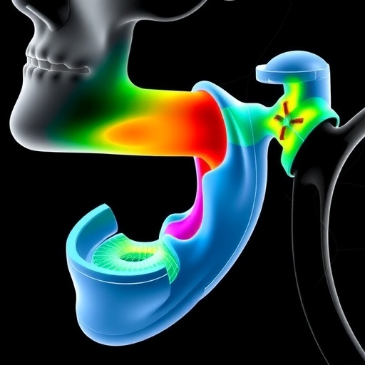 creating-an-acoustic-model-for-upper-airway