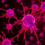 long-term-growth-hormone-therapy-boosts-pediatric-stem-cells