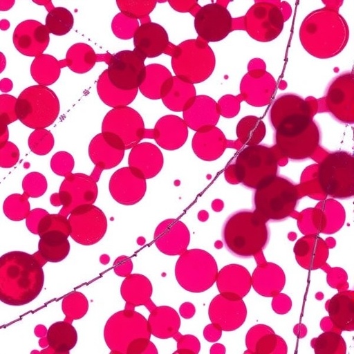 multiplex-analysis-of-endocrine-proteins-in-dried-blood