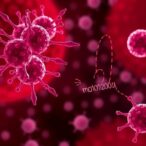 als-modulator-signature-revealed-in-blood-cells