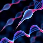 new-genetic-biomarkers-discovered-for-sperm-dysfunction