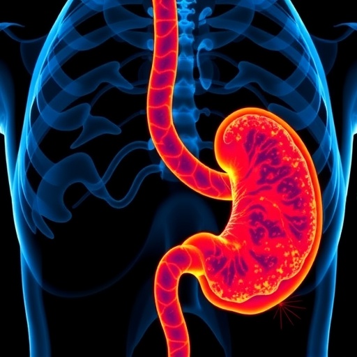 radiomics-and-3d-deep-learning-predict-pancreatic-cancer