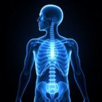 ig-nobel-‘butt-breathing’-concept-from-2024-advances-toward-viable-medical-treatment