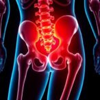 site-specific-insights:-the-role-of-bone-marrow-in-joint-repair-at-the-hip-vs.-shoulder