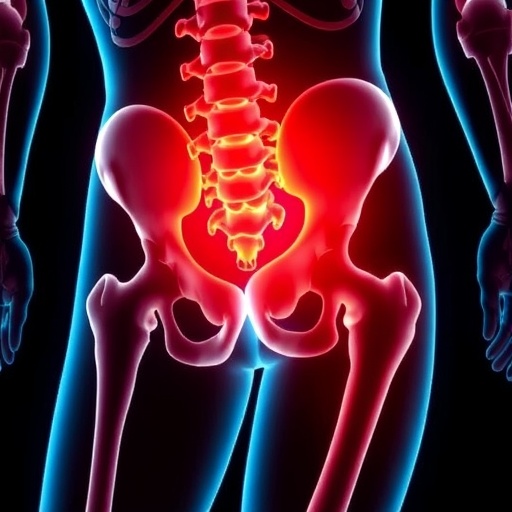 site-specific-insights:-the-role-of-bone-marrow-in-joint-repair-at-the-hip-vs.-shoulder