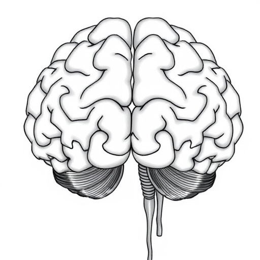 sex-differences-in-brain-mrna-and-pair-bonding