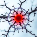 when-cells-ignore-the-signal:-why-old-models-of-cell-division-fall-short